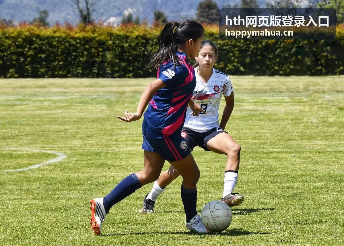 hth网页版登录入口登录设备列表查看与授权